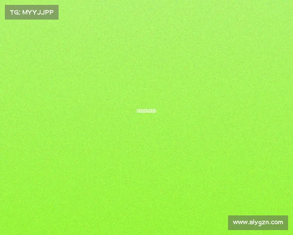 国内大型体育赛事